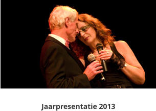 Jaarpresentatie 2013